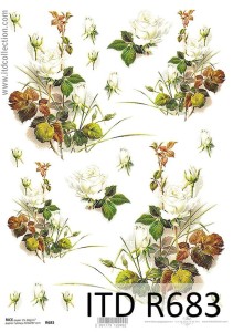 Papier decoupage ryżowy R683 A4