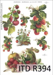 Papier decoupage ryżowy R394 A4