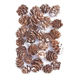 Szyszki mini Bielone 25g 