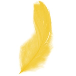 Piórka 15g Jasne Żółte 