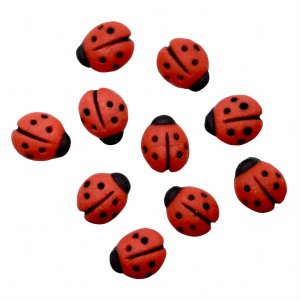 Mini biedronki z masy cukrowej 10 szt