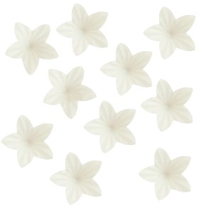 Kwiat waflowy kwiatek mini biały dekoracja na tort 10 szt