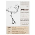 Blok szkicowy jasny EKO 100 ark. 60g A3