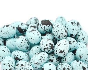 Jajka Przepiórcze Styropian Niebieskie 50 szt FL96