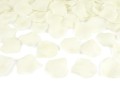 Konfetti strzelające 80 cm płatki róż kremowe
