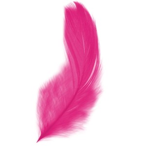 Piórka 15g Różowe