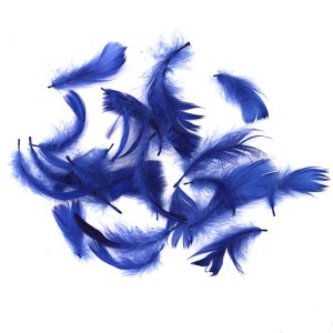 Piórka 15g Granatowe