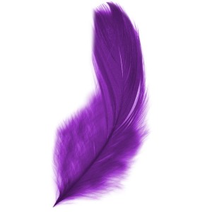 Piórka 15g Fioletowe