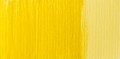 Farba do tkanin Fevicryl 50 ml Chrome Yellow