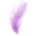 Piórka dekoracyjne 50 szt J. Fiolet