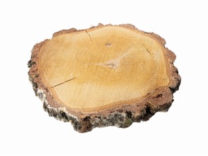 Plaster drewna podkładka 24cm PJ-9273