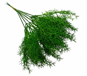 Gałązka dekoracyjna Asparagus 30 cm 6szt FB64-01