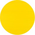 209 Phoenix Yellow