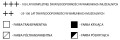 Farba Akrylowa Phoenix 100 ml nr 559
