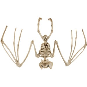 Szkielet nietoperza Halloween 30cm 
