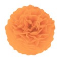 Pompon bibułowy Pomarańczowy 25 cm 