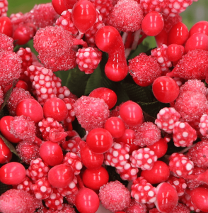 Ryżyk kaszka 12 drucików Czerwony