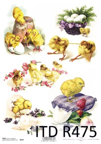 Papier decoupage ryżowy R475 A4