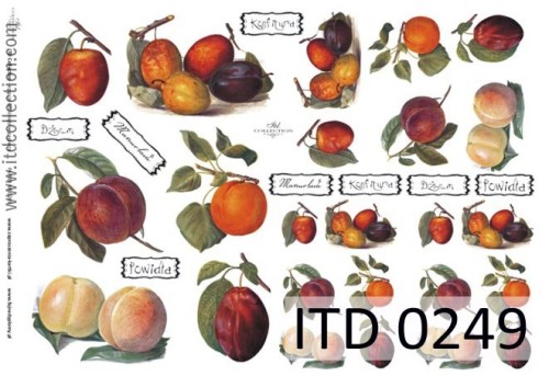 Papier decoupage klasyczny 60g 0249 A4