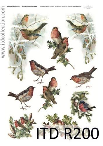 Papier decoupage ryżowy R200 A4