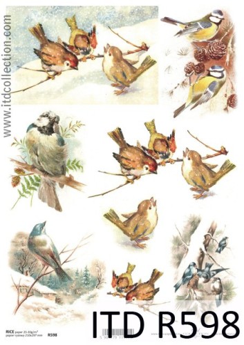 Papier decoupage ryżowy R598 A4