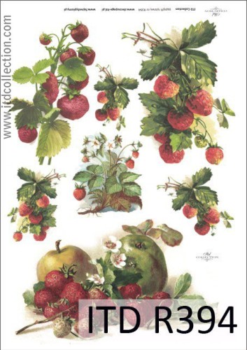 Papier decoupage ryżowy R394 A4