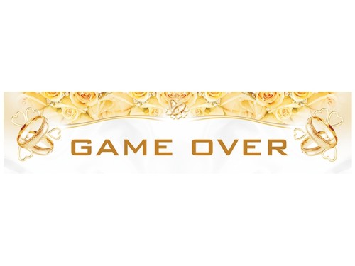 Tablica rejestracyjna Game Over TT65P