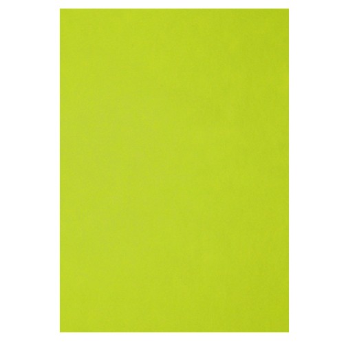 Filc Dekoracyjny 1,7 mm 40x30 cm A3 Jasnozielony