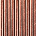 20091_22618
