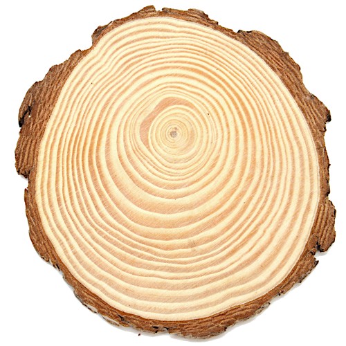 Plaster drewna podkładka 15 cm PJ-3890