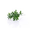 26191_28506