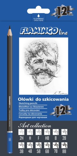 Ołówki profesjonalne Scholine 8B-2H 12 szt