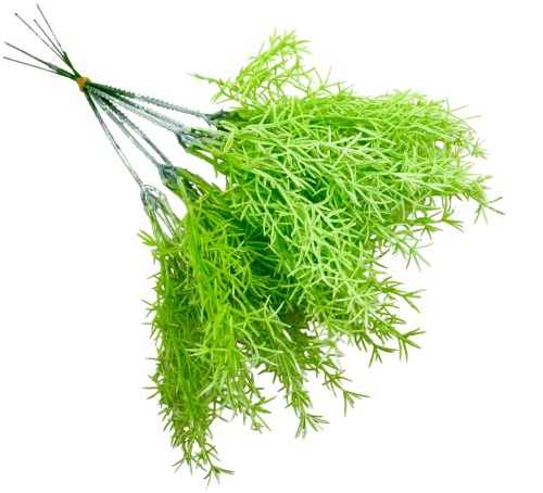Gałązka dekoracyjna Asparagus 30 cm 6szt FB64-03