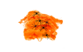 25435_536725